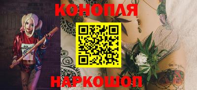 амф Кингисепп