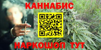 амф Кингисепп