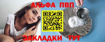 амф Кингисепп