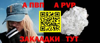 амф Кингисепп