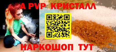 амф Кингисепп