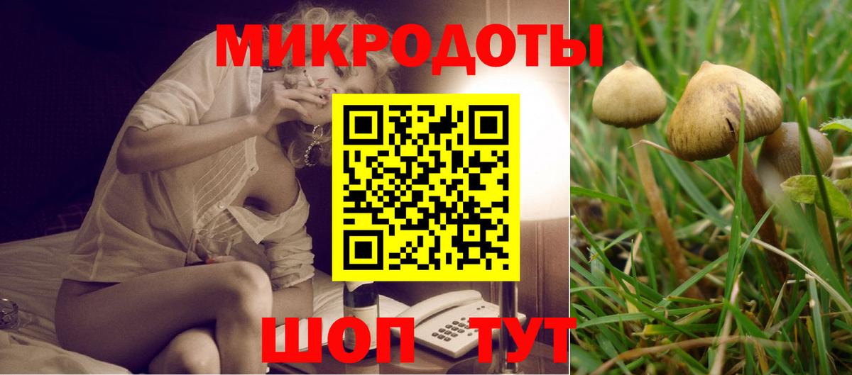 даркнет сайт  Вход с VPN  Кумертау  Псилоцибиновые грибы GOLDEN TEACHER 